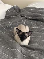 Ch.Sanmaurs Champagne & Caviar